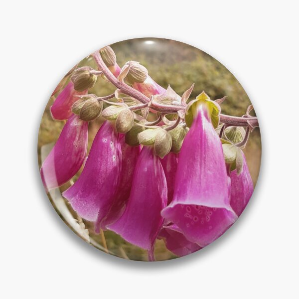 Item preview, Foxgloves at Ashdown Forest designed and sold by Emma  Amies.