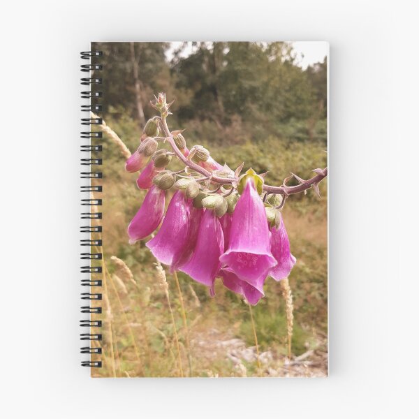Item preview, Foxgloves at Ashdown Forest designed and sold by Emma  Amies.