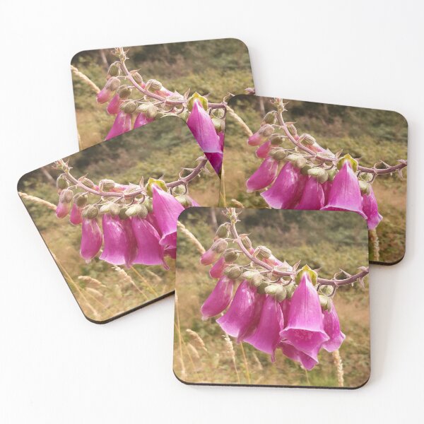 Item preview, Foxgloves at Ashdown Forest designed and sold by Emma  Amies.