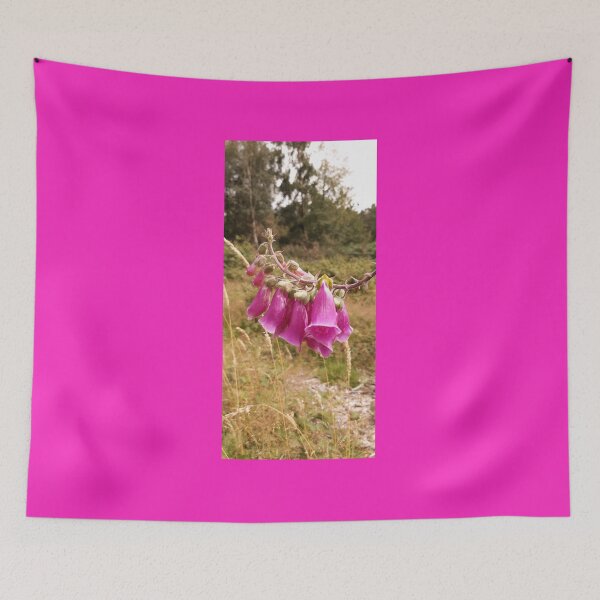 Item preview, Foxgloves at Ashdown Forest designed and sold by Emma  Amies.
