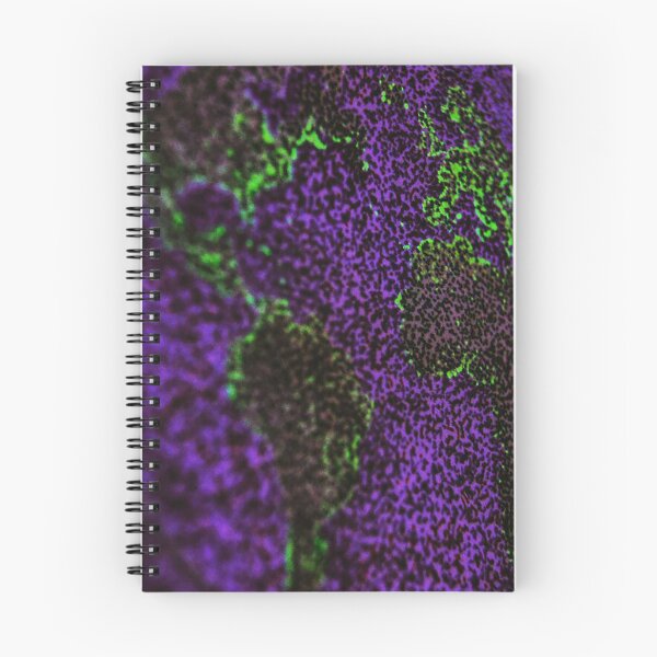 Item preview, Light pollution on the Earth designed and sold by lifeloverarts.