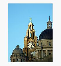 Royal liver building Photographic Print