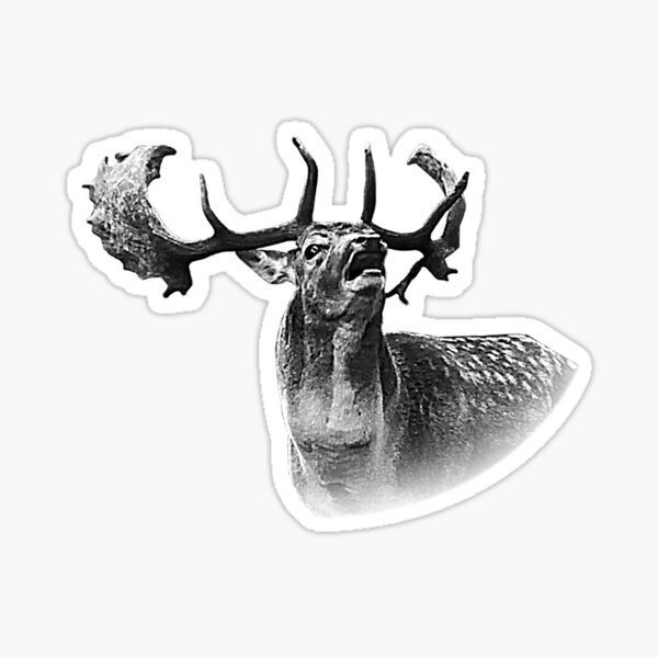 Item preview, the call of the fallow stag designed and sold by Murph's Images.