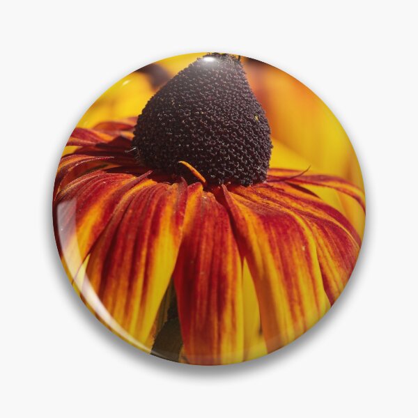Item preview, Burning Coneflower colors 9 designed and sold by Jouko Lehto Photography.
