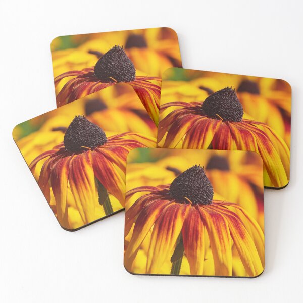Item preview, Burning Coneflower colors 9 designed and sold by Jouko Lehto Photography.
