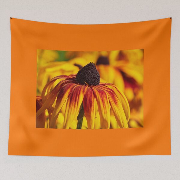 Item preview, Burning Coneflower colors 9 designed and sold by Jouko Lehto Photography.