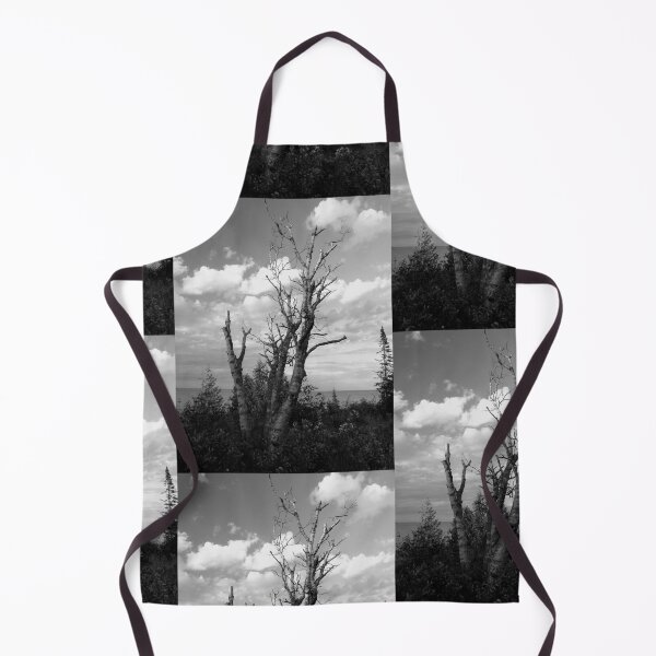 Item preview, Birch Tree designed and sold by J Rier Photography.