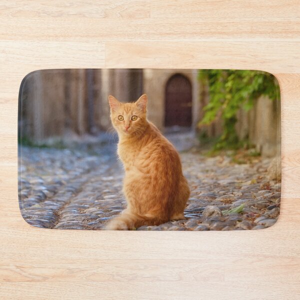 Item preview, Curious Cat in an Old Town Alley of Rhodes designed and sold by Katho Menden.