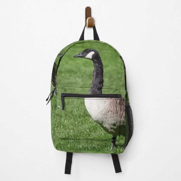 Item preview, Canada goose on green grass designed and sold by Jouko Lehto Photography.