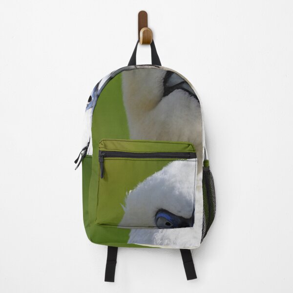 Item preview, A gorgeous gannet at Cantick Head on Hoy designed and sold by Alan Mackinnon.