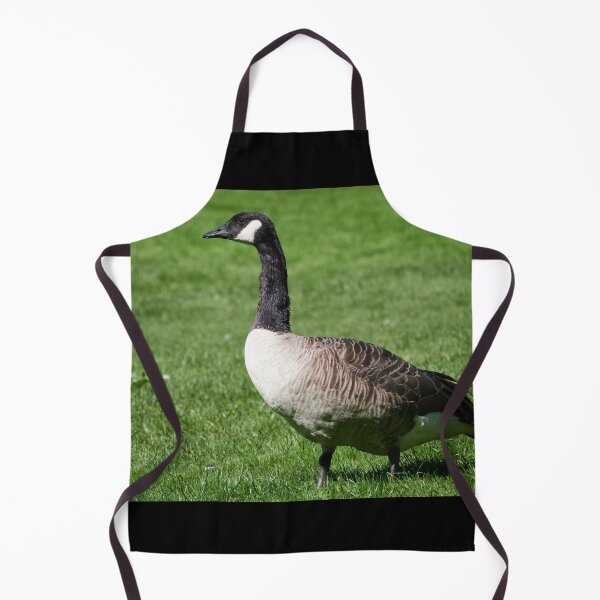 Item preview, Canada goose on green grass designed and sold by Jouko Lehto Photography.
