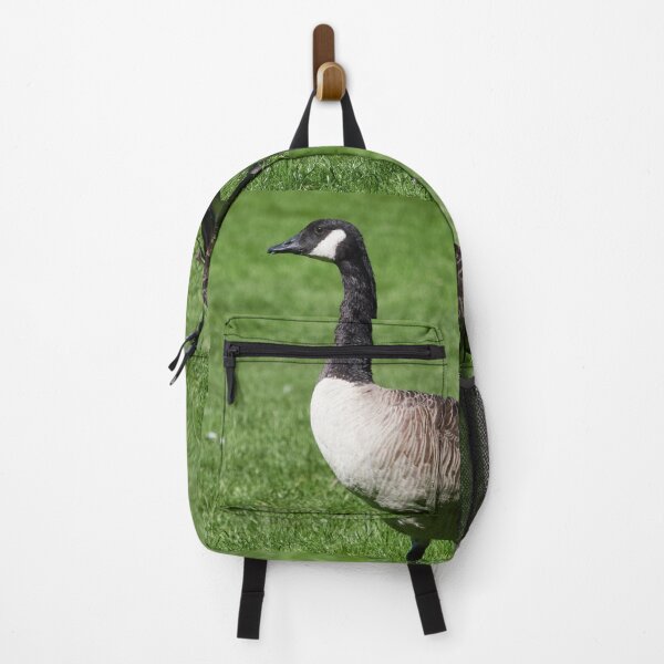 Item preview, Canada goose on green grass designed and sold by Jouko Lehto Photography.