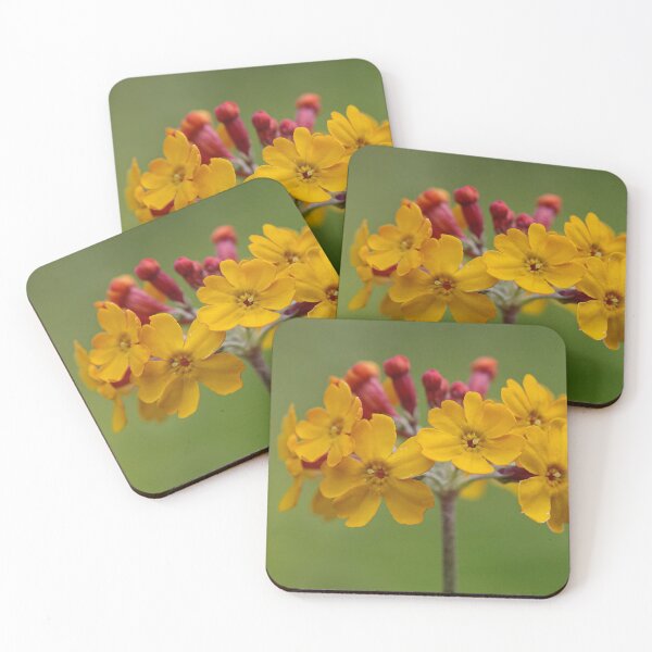 Item preview, Amber Primula designed and sold by Jennifer Roach.