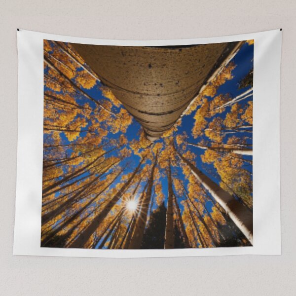 Item preview, Shade designed and sold by Anilpaswan.