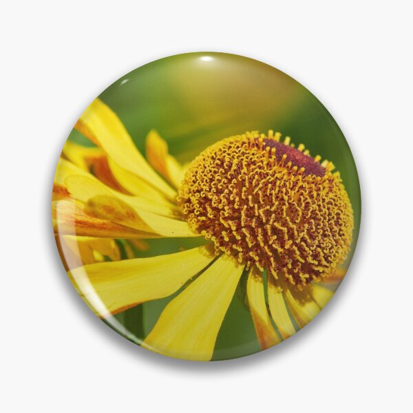 Item preview, Yellow echinae 31 designed and sold by Jouko Lehto Photography.