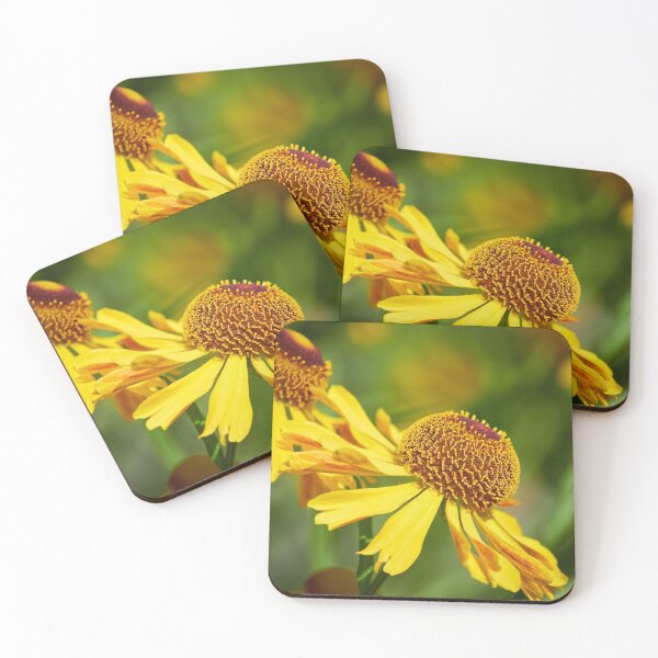 Item preview, Yellow echinae 31 designed and sold by Jouko Lehto Photography.