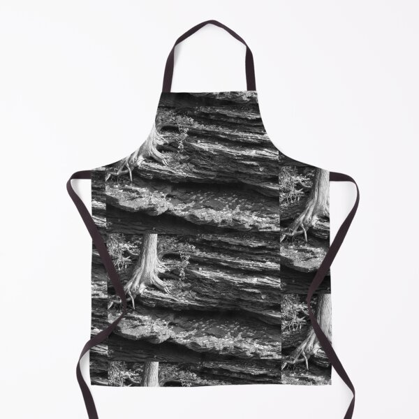 Item preview, Cedar tree root and shale designed and sold by J Rier Photography.
