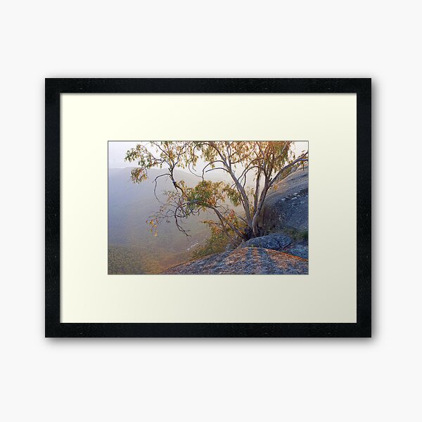 Item preview, Morning Light designed and sold by Harry Oldmeadow.