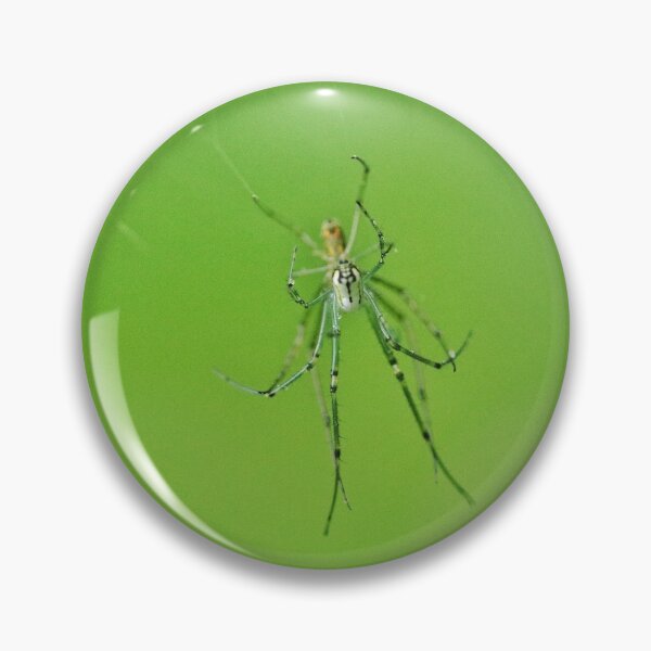 Item preview, Orchard spiders mating designed and sold by J Rier Photography.