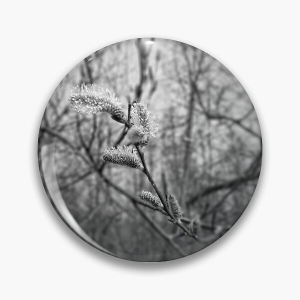Item preview, Pussy Willow Buds designed and sold by J Rier Photography.