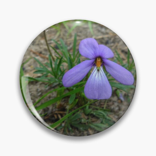 Artikelvorschau, Vögel Fuß Violett entworfen und verkauft von J Rier Photography.