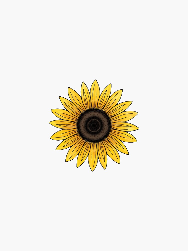 sunflower by Sofiv10