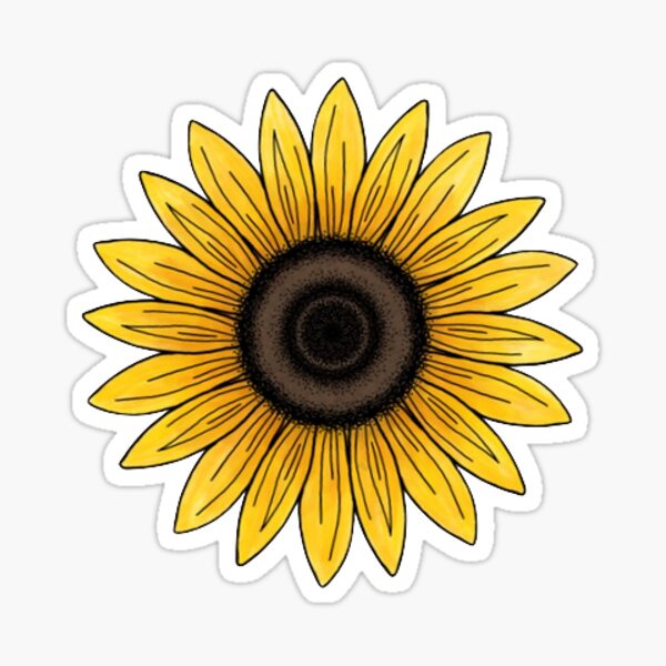 Sunflower Gifts & Merchandise for Sale | Redbubble