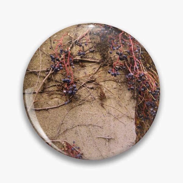 Item preview, Grapevines designed and sold by J Rier Photography.