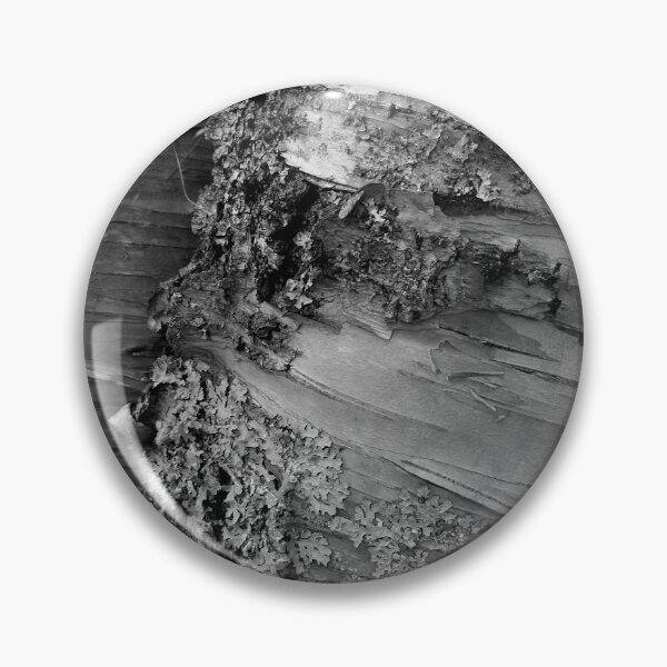 Artikelvorschau, Two Birch entworfen und verkauft von J Rier Photography.