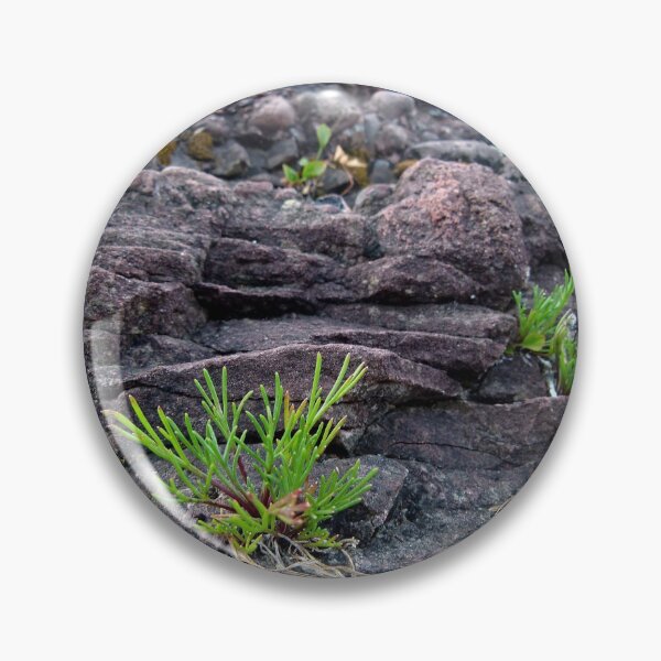 Artikelvorschau, Cliff Life (or, landscape in miniature) entworfen und verkauft von J Rier Photography.