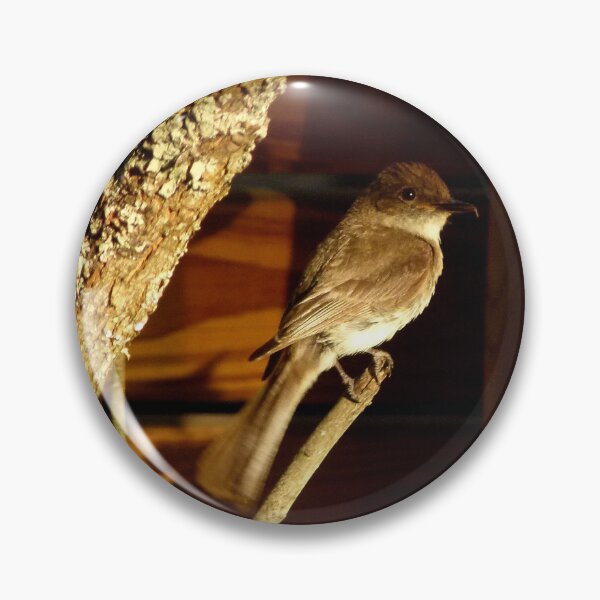 Item preview, Flycatcher designed and sold by J Rier Photography.