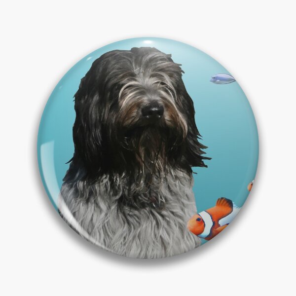 Aperçu de l'œuvre Chien Schapendoes avec poissons-clowns tropicaux créée et vendue par Move-Art.