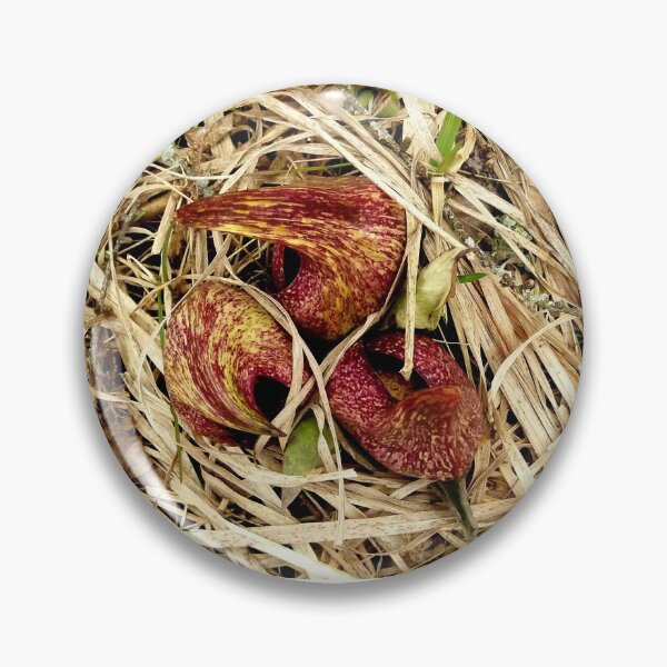 Item preview, First sign of spring designed and sold by J Rier Photography.
