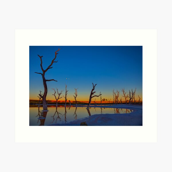 Item preview, Pine Lake designed and sold by Adam Armstrong.