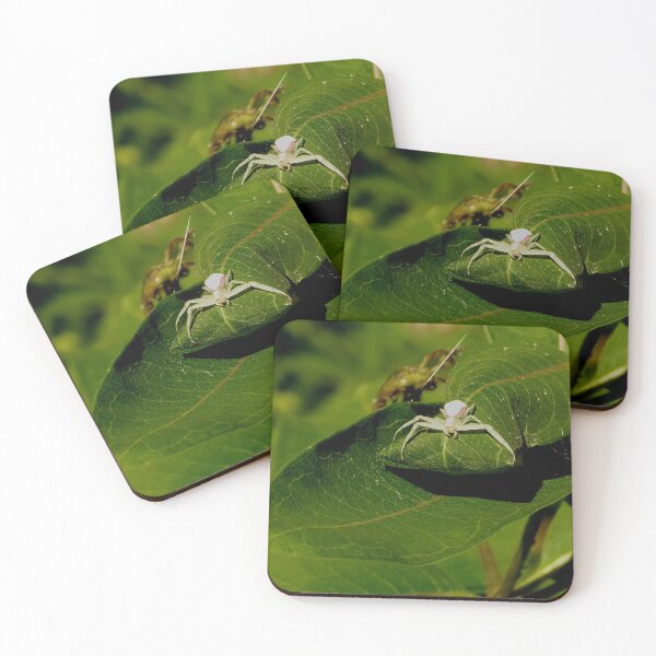 Item preview, Spider designed and sold by J Rier Photography.