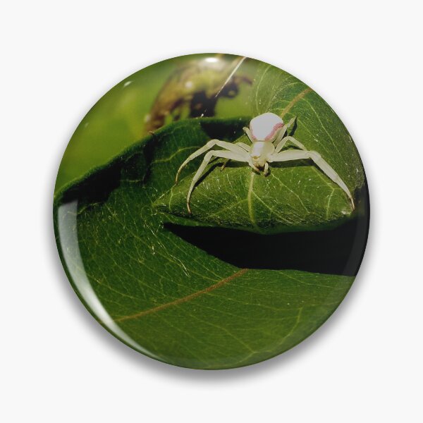 Item preview, Spider designed and sold by J Rier Photography.