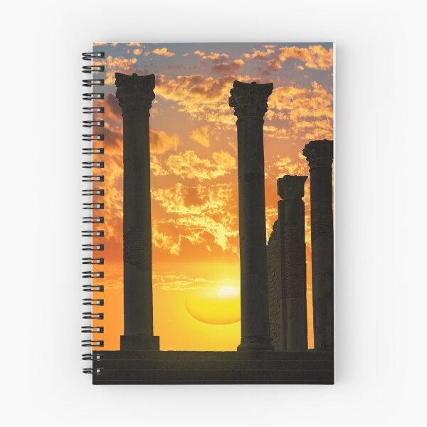 Artikelvorschau, Volubilis-Säulen. entworfen und verkauft von bulljup.