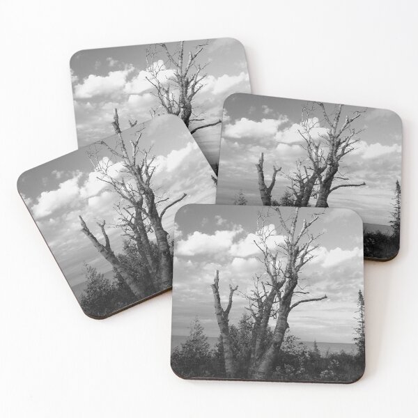 Item preview, Birch Tree designed and sold by J Rier Photography.