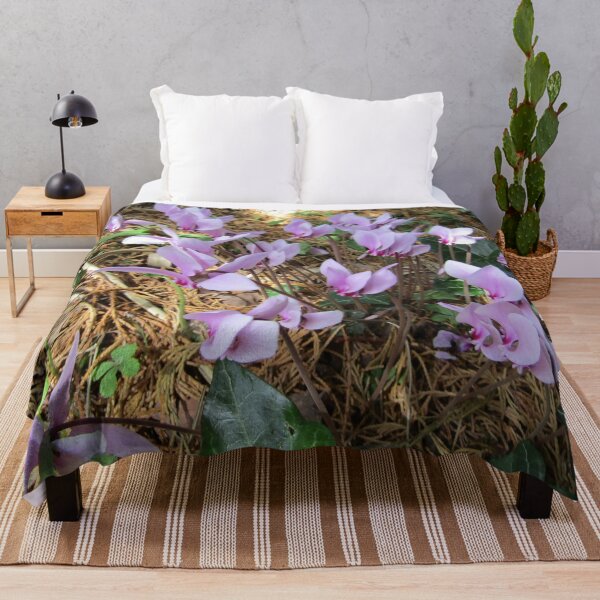 Item preview, Pink cyclamen growing wild (Cyclamen persicum). designed and sold by joshuarainbird.