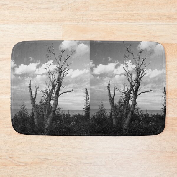 Item preview, Birch Tree designed and sold by J Rier Photography.