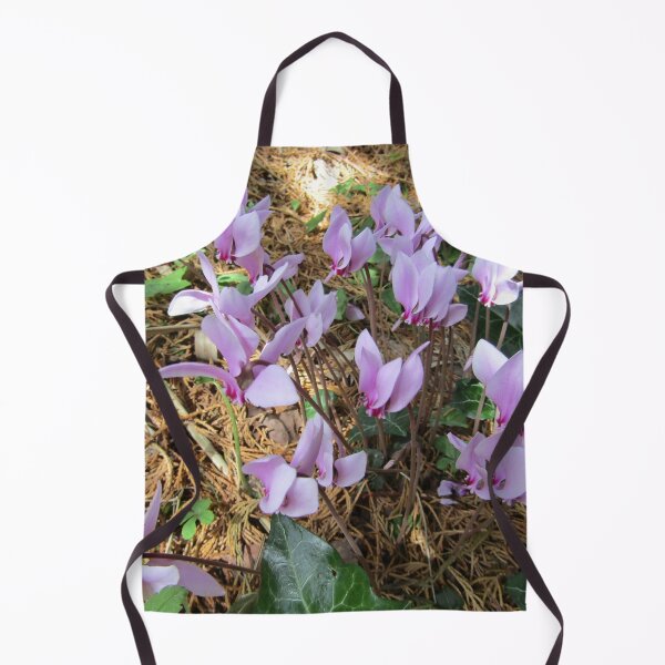 Item preview, Pink cyclamen growing wild (Cyclamen persicum). designed and sold by joshuarainbird.