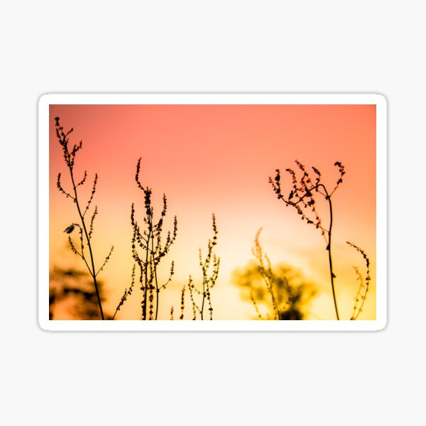Landscape with silhouettes, nature image Sticker