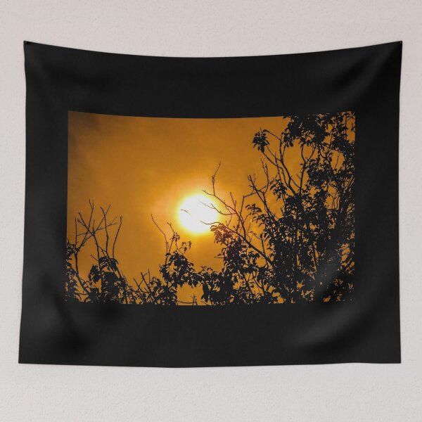 Item preview, Shading of branches and sun, visual art designed and sold by Stéphane  Thirion.