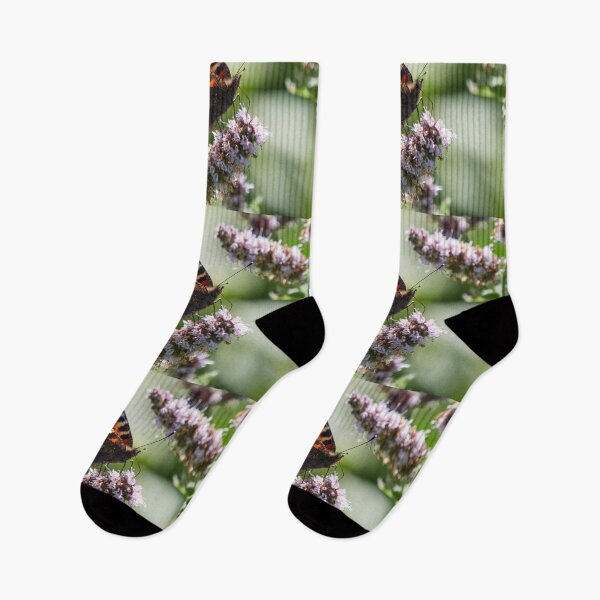 Item preview, Small tortoiseshell 5 designed and sold by Jouko Lehto Photography.