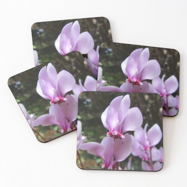 Item preview, Pink cyclamen (Cyclamen persicum) designed and sold by joshuarainbird.
