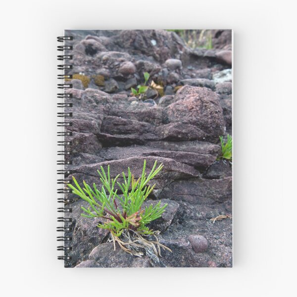 Item preview, Cliff Life (or, landscape in miniature) designed and sold by J Rier Photography.