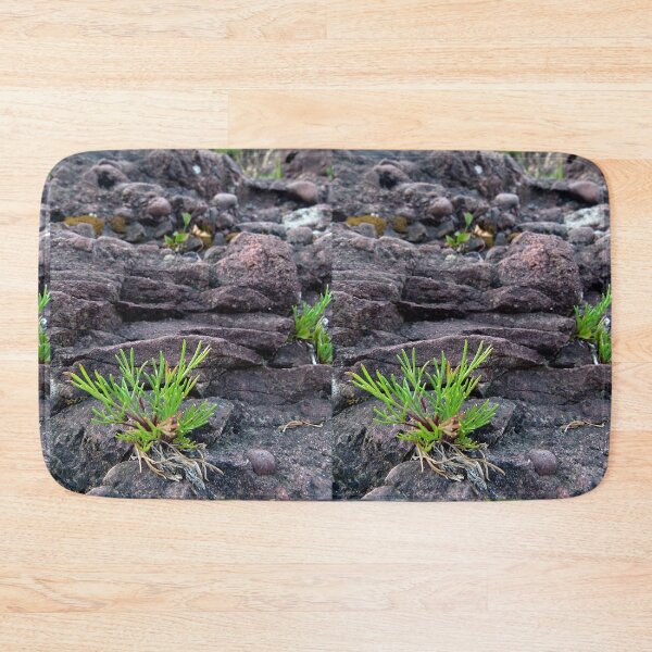 Item preview, Cliff Life (or, landscape in miniature) designed and sold by J Rier Photography.