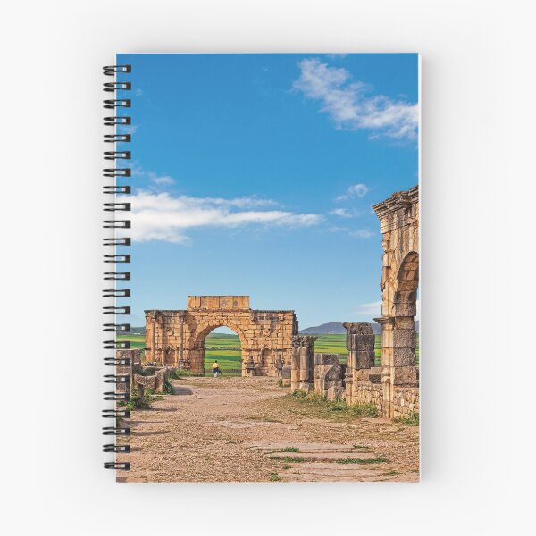 Aperçu de l'œuvre Arc de Triomphe, Volubilis. créée et vendue par bulljup.