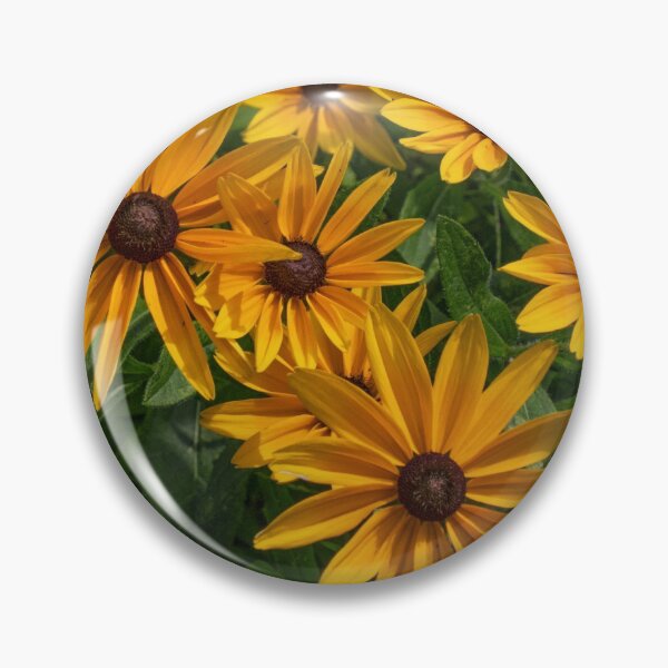 Item preview, Black Eyed Susans in the Sun designed and sold by Gerda Grice Photography.
