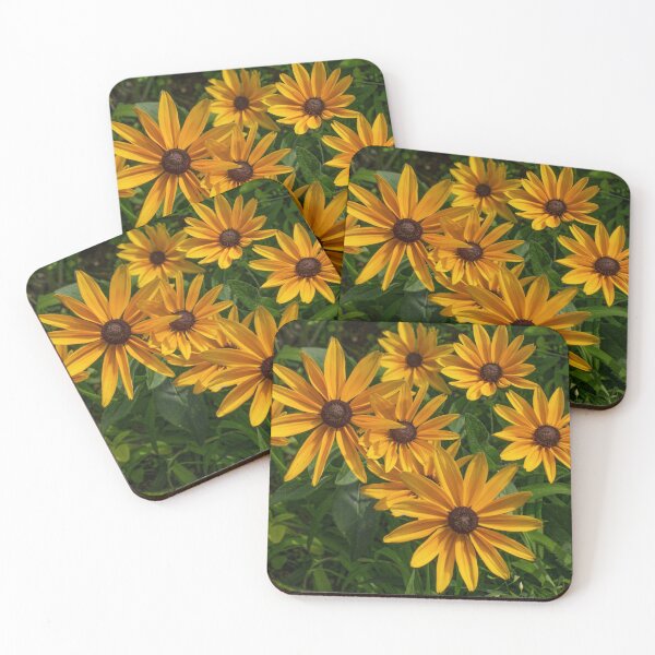 Item preview, Black Eyed Susans in the Sun designed and sold by Gerda Grice Photography.